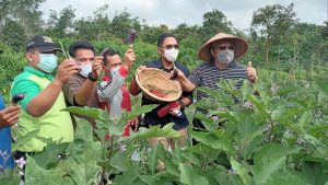 Bupati dan SKK Migas – PetroChina Memanen Hasil Pertanian Organik di TPA Lubuk Terentang