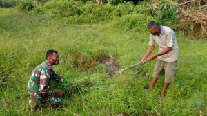 Peduli Warga Di Lokasi TMMD, Anggota TNI Bantu Warga Cari Rumput Untuk Pakan Ternak