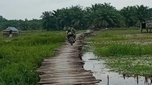 Jembatan Kayu Ini Nantinya Akan Dibangun Jalan Dalam Program TMMD