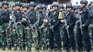 Komnas HAM Dukung TNI Polri Lakukan Pengamanan di Papua