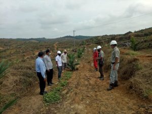 PT IIS Dukung KUD Karya Jaya  Merlung Garap Replanting 800 Ha Kelapa Sawit di Bukit Harapan Tanjabbar