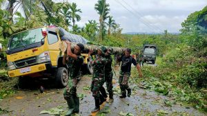 Satgas Yonif 312 Bantu Evakuasi Truk Tertimpa Pohon Tumbang Di Jalan Trans Papua