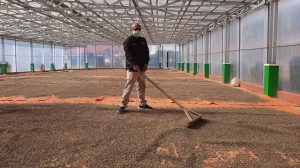 KBI Jalankan Ekosistem Sistem Resi Gudang Dari Hulu Ke Hilir