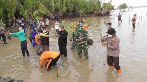 Aksi ‘SEJATI’ Polres Tanjabbarat,Kodim 0419, Forkopimda Juga Masyarakat Tanam 1000 Bibit Pohon Pelindung dan Mangrove