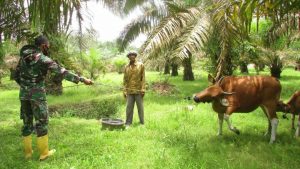 Ada saja Aktivitas anggota Satgas Saat Sore Datang