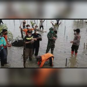 Bupati Bersama Kapolres dan Dandim 0419 Tanam Mangrove