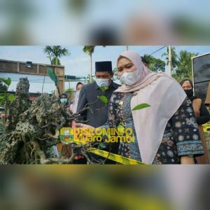 Bupati Muarojambi Meresmikan Pameran Bonsai Lokal Desa Kasang Lopak Alai