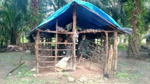 Satgas Berteduh di kandang sapi saat diguyur hujan