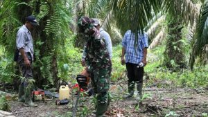 Danton Satgas turun langsung Potong kayu untuk Galar Jalan bergambut