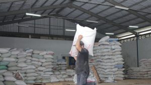 Jelang Panen Padi, KBI Dorong Pemanfaatan Resi Gudang