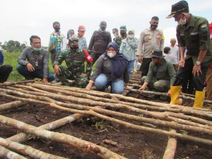 Bupati Masnah, Pembangunan Jalan TMMD Dapat meningkatkan Perekonomian Warga