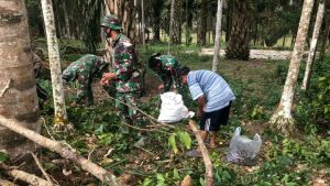Satgas TMMD Batanghari Bantu Warga Panen Jengkol