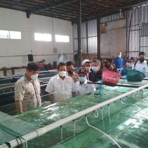 Menteri Kelautan dan Perikanan Cek Instalasi Karantina Ikan Indomina Aquarium Jambi