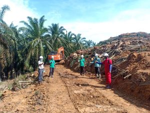 Siap Menyukseskan Peremajaan Sawit Rakyat, KUD Bina Usaha Gelar Tumbang Perdana di Jambi