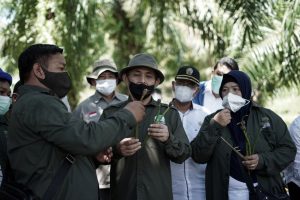 Kepala BRGM Kunjungan 3 Provinsi, Koordinasi Restorasi Gambut dan Rehabilitasi Mangrove