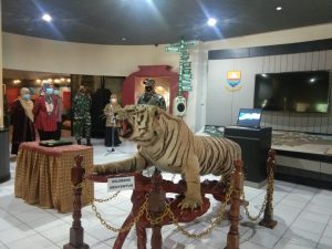 Danrem 042/Gapu Serahkan Koleksi Harimau Sumatera yang Diawetkan ke Museum Siginjei Jambi