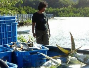 Dukung Rebut Pasar Global, KPP BC Kuala Tungkal Gelar Pelatihan Prosedur Ekspor