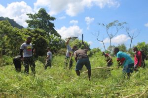 TNI Melaksanakan Karya Bakti Bersama Masyarakat Papua