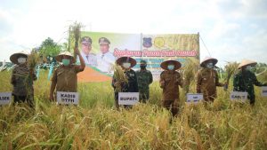 Bupati Tanjab Barat Syukuran Panen Padi di Desa Pembengis