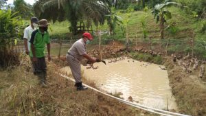 Asian Agri Berikan Bebek Petelur untuk Dukung Peningkatan Ekonomi Desa
