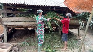 Optimalkan Komsos, Serda Nodi Bantu Warga Beri Makan Ternak