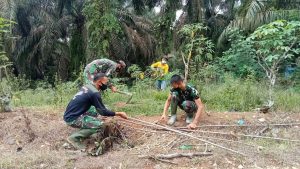 Luangkan Waktu, Anggota Satgas Bantu Warga Panen Singkong