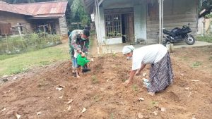 Dimasa Pandemi, Satgas TMMD Bantu Warga Tanam Cabai
