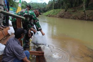 Tingkatkan Perekonomian Warga, Katim Wasev Tabur Benih Ikan di Lokasi TMMD Kodim Sarko