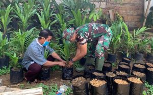 Luangkan Waktu, Anggota Satgas Berbagi Pengalaman Cara Pembibitan Sawit