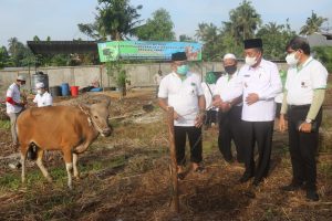 Serahkan Hewan Qurban, Abdullah Sani: Qurban Perintah Allah SWT Bermanfaat Untuk Sesama