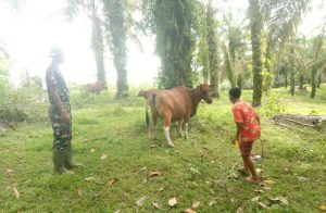 Temani Raka Gembala Sapi, “Pak Sayo Mau Jadi Tentro Macam Kakoak Budi”