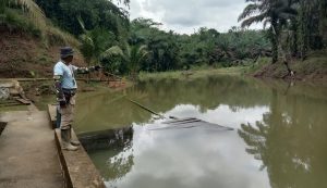 Dongkrak Ekonomi Masyarakat, TMMD di Bukitberingin Berdayakan Bendungan Taburkan Benih Ikan