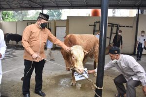 Kapolda Jambi Serahkan 22 Ekor Hewan Qurban ke Masjid Al-Ikhlas