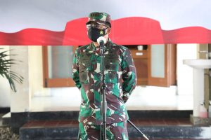 Panglima TNI: Isoter Merupakan Upaya Pemerintah Bantu Penanganan Pasien Covid-19