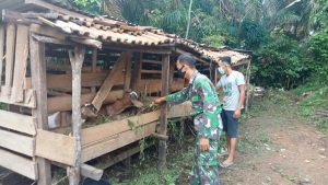 Anggota Satgas TMMD Bantu Warga Beri Makan Ternak
