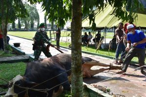 Korem 042 Gapu Sembelih 19 Ekor Hewan Qurban