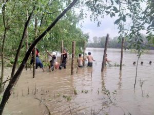 Mahasiswa KKN Kebangsaan, Gairahkan Wisata Mangrove di Kualalagan