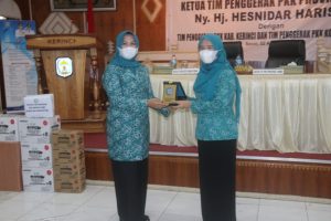 Ketua TP PKK Provinsi Jambi Hesti Haris Kunjungi Tim PKK Kerinci dan Sungaipenuh