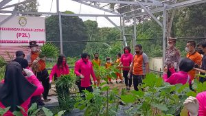 Bhayangkari Cabang Muarojambi Panen dan Bagi Sembako Bersama Siswa SDN 66