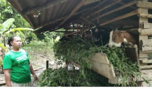 Bangkit Dimasa Pandemi