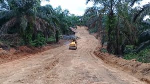 Pembukaan Jalan Capai 86,2 Persen, Dansatgas : Semua Akan Selesai Tepat Waktu