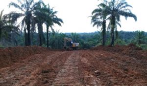 Progres Pembukaan Jalan TMMD Kodim Bute Capai 60,7 Persen