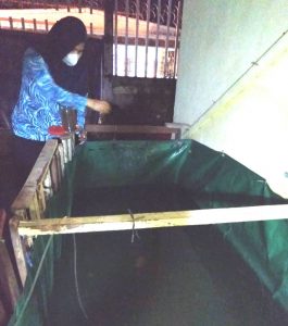 “KOI”, Berkah Rizki Ditengah Pandemi