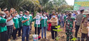 Al Haris Dorong Porang Jadi Komiditi Unggulan