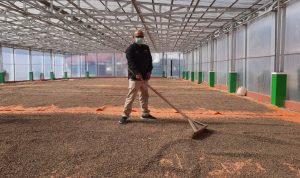 Kredit Perbankan Diproyeksikan Tumbuh 7,5 %, Pembiayaan Resi Gudang Bisa Menjadi Ceruk Baru