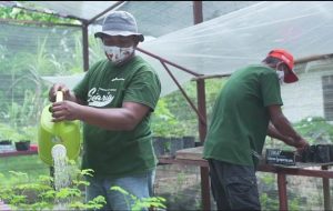 Mengintegrasikan Kompetensi Inti dalam Membangun Inovasi Sosial Jadi Kunci Subholding Upstream Pertamina Raih Proper