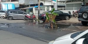 Gokil, Warga Talangbanjar Tanam Pohon Pisang di Tengah Jalan