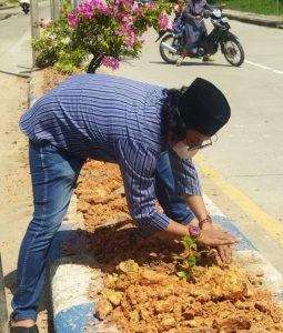 Disela Kesibukannya ,Syufrayogi Syaiful Sowan kepada Petugas Pertamanan bahkan ikut Menanam Bibit Tanaman