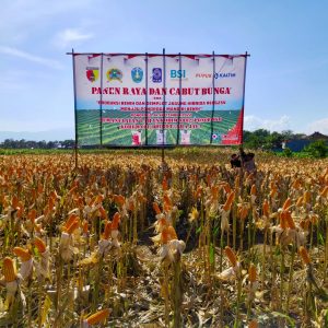 Sukseskan Ponorogo Mandiri Benih, Pupuk Kaltim Hadirkan Ragam Produk Unggulan