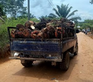 Puluhan Tahun Terisolir, TMMD Bangun Akses Jalan Warga Dapat Dinikmati